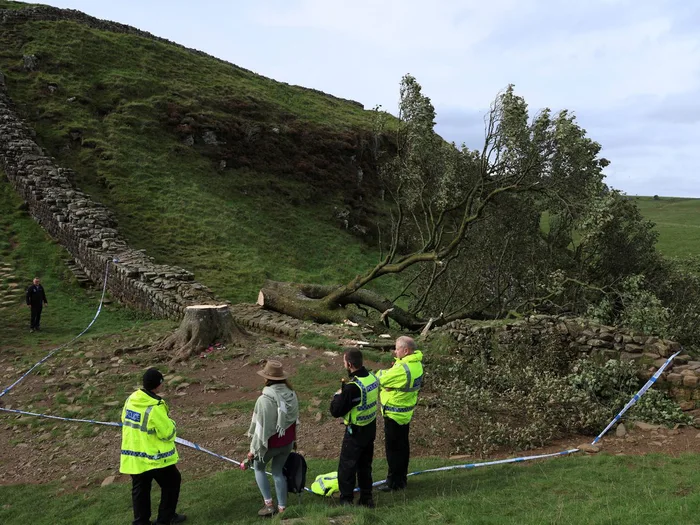 OMG! Some 16 year old teenager cut down the famous Robin Hood tree at Scamore gap in Hadrians Wall in the UK!!! I feel the pain!